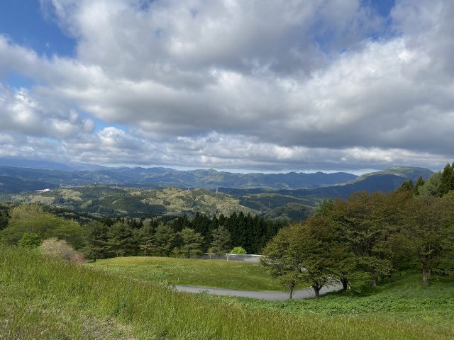 ５月の光を透かして揺れる結葉