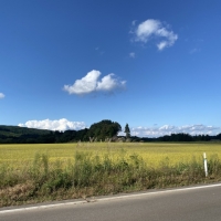 秋は寒暖の差があらわれやすい季節です！！