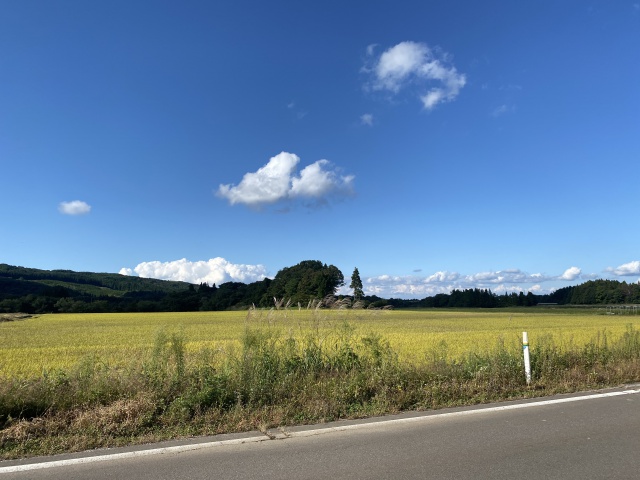 秋は寒暖の差があらわれやすい季節です！！